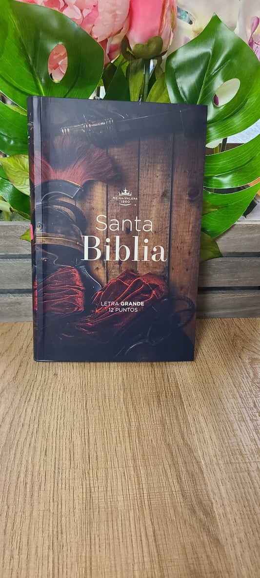 Santa Biblia RVR60 forro-armadura de Dios 12 puntos