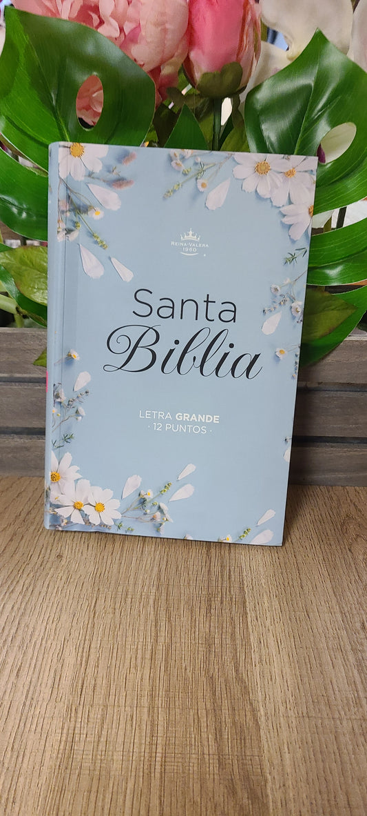 Santa Biblia RVR60 12 puntos azul-Floral con índice